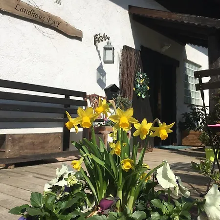 Fay Bad Ischl